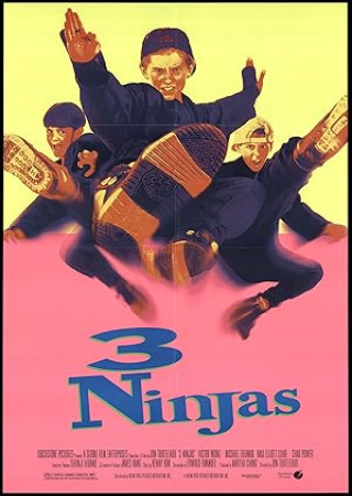 3 Ninjas (1992) Hindi Dubbed