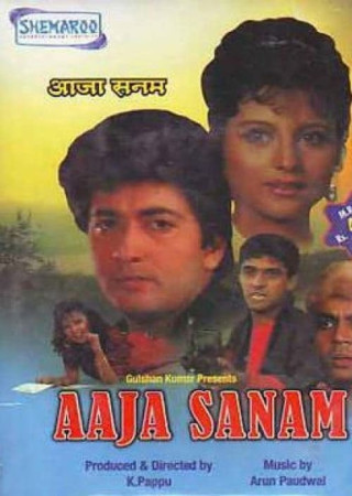 Aaja Sanam (1994) Hindi