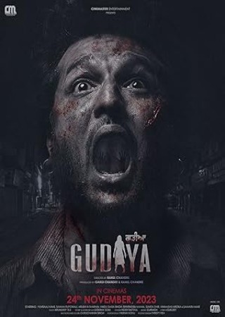 Gudiya (2023) Punjabi