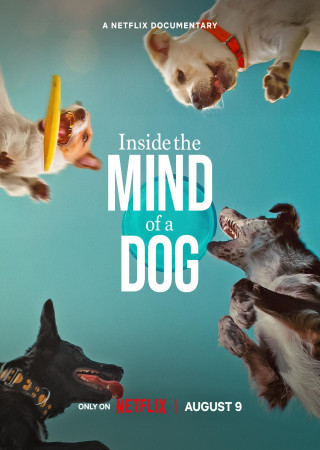 Inside the Mind of a Dog (2024) Hindi Dubbed