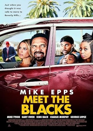 Meet the Blacks (2016) Hindi Dubbed