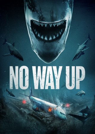 No Way Up (2024) Hindi Dubbed