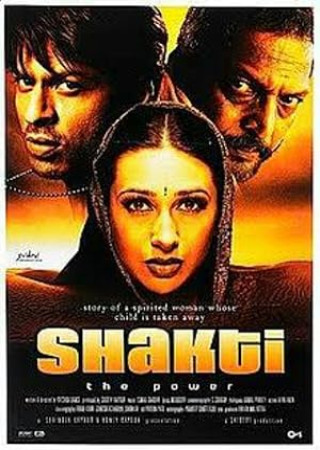 Shakthi The Power (2002) Hindi