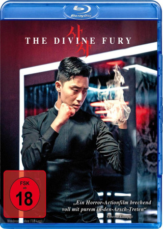 The Divine Fury (2019) Hindi Dubbed