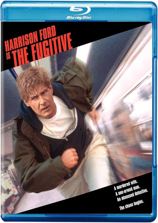 The Fugitive (1993) Hindi Dubbed