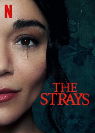 The Strays (2023) Hindi Dubbed